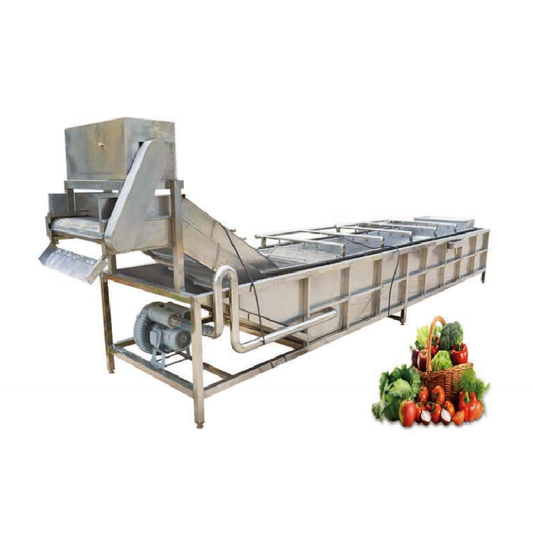 Automatic Fruit And Vegetable Bubble Cleaning Machine ODM-Dingzee