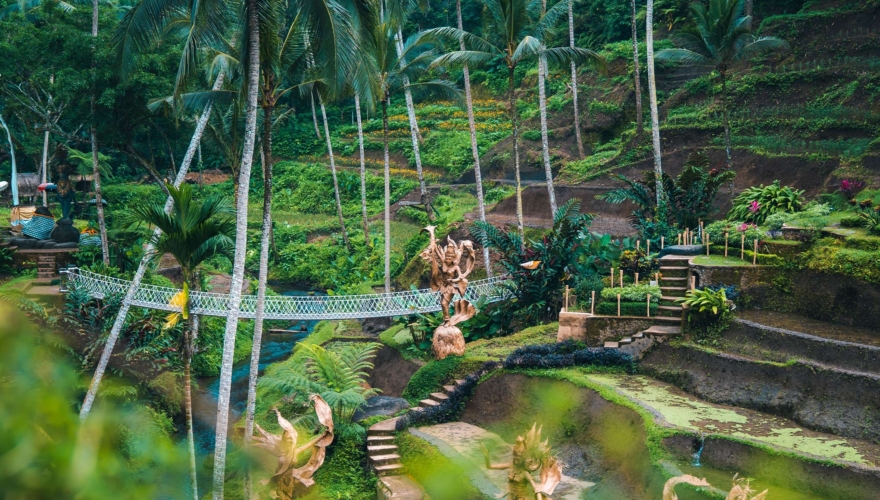 International teaching jobs new to Schrole this week   31 January 2025